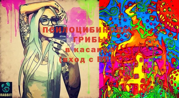 spice Новодвинск