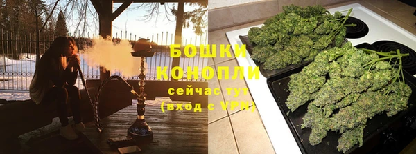 spice Новодвинск
