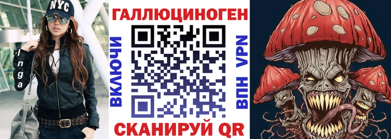 Купить где  Калининск  Галлюциногенные грибы Cubensis 